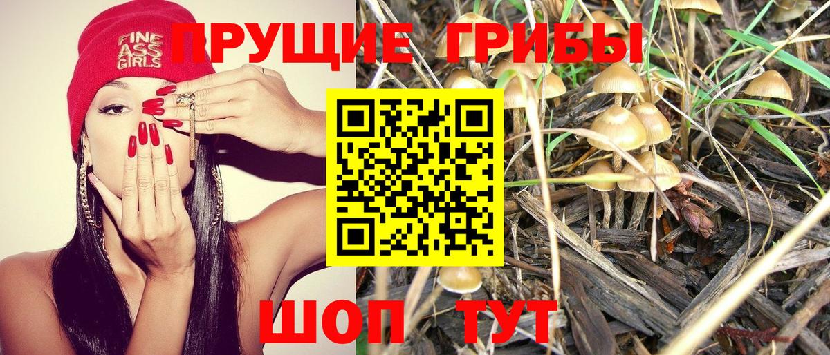 Псилоцибиновые грибы прущие грибы  Вход с VPN  Рязань  Псилоцибиновые грибы Cubensis 